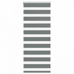 VidaXL Store zèbre gris foncé largeur du tissu 50,9 cm polyester, store à enrouleur zébré, store zébré pour fenêtre, store 4014096