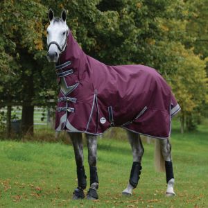 Weatherbeeta Couverture d'extérieur pour cheval avec couvre-cou intégré Comfitec Plus Dynamic II 100g