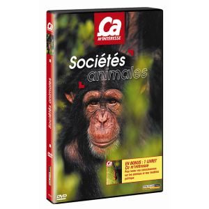 Ca m'intéresse - Volume 9 : société animales