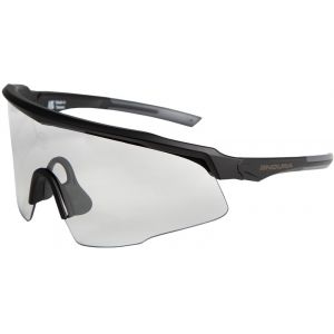 Endura Shumba II Lunettes, noir Lunettes