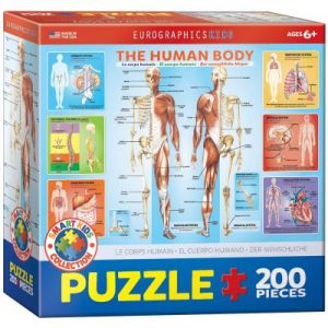 Image de Eurographics Puzzle Le corps humain 200 pièces