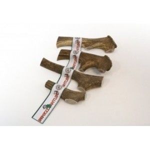 Farm Food Antler Cerf pour chien XXL