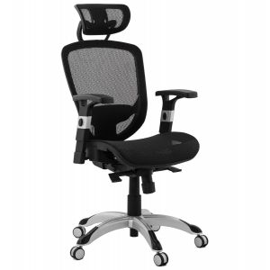 Alter Ego Fauteuil de bureau ergonomique 'TYPHON' noir