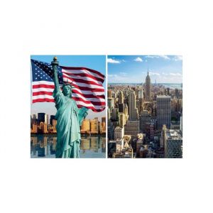 Coffret 2 puzzles adulte ville de new-york amerique - 500 pieces - set puzzle collection monument etat-unis + 1 carte animal