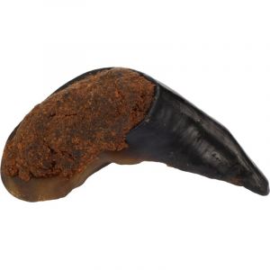 Flamingo Friandise Chien – Snack Nature Sabot de Buffle avec panse – 135g – Naturel – Plaisir de Mastication prolongé