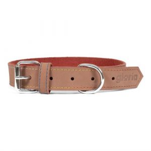 Collier pour Chien Gloria Oasis 55 2 5 cm Marron