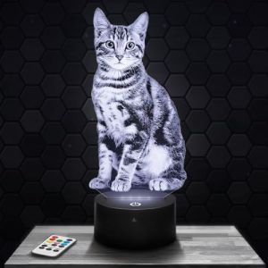 Lampe 3D - Chat - Jouet Figurine Cadeau Chat - Veilleuse Led Tactile avec socle au choix et télécommande