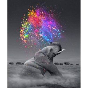 Figured'Art Peinture par Num&eacute;ro Adulte El&eacute;phant et explosion de Couleurs - Activit&eacute; Manuelle Kit de Loisir Cr&eacute;atif DIY Num&eacute;ro d'Art Complet - 40x50cm sans ch&acirc;ssis en bois