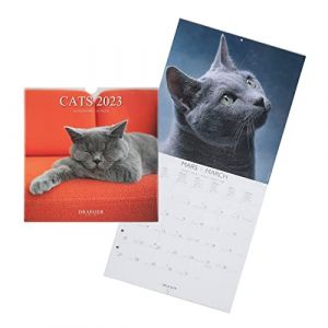 DRAEGER PARIS | Calendrier mural chats 2023 à suspendre 29x29cm |16 mois sept22-dec 23 | 7 langues | Calendrier maison, cuisine, bureau mensuel | 12 photos chats et chatons | Papier certifié FSC