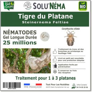 Solun&eacute;ma - Tigre du Platane- N&eacute;matodes Steinernema Feltiae (SF)-25 millions
