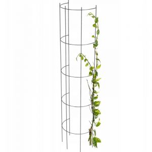 Image de Kadax - Pergola de Jardin Colonne pour Fleurs Roses 120 cm