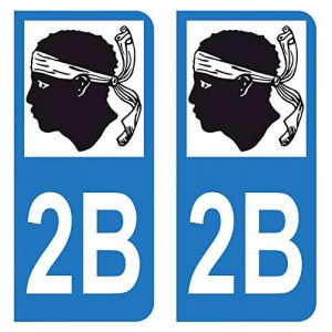 Lot 2 Autocollants Stickers plaque immatriculation voiture auto département 2B Haute-Corse Logo Corse