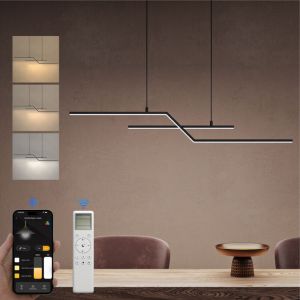 Suspension Luminaire Plafonnier Lustre Chambre Salon Trois Temp&eacute;ratures de couleur Hauteur R&eacute;glable &Eacute;clairage Int&eacute;rieur led Noir 105&times;100CM 18W