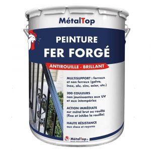 Peinture Fer Forge - Rouge rubis - RAL 3003 - Pot 1L