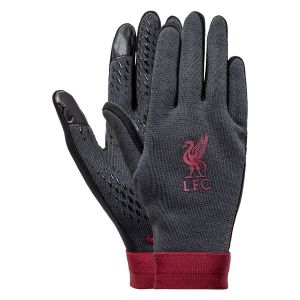 Nike Gants Liverpool FC Therma-FIT - Grey, Grey - Taille M