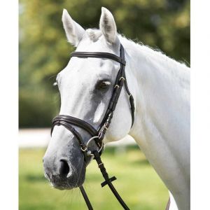 Têtière frontal moule Tattini