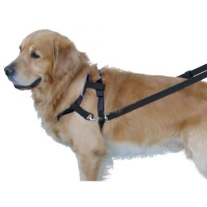 Nobby Laisses et harnais anti-traction pour chien Pet Top Walk