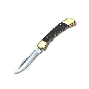 Image de Buck 17110 - Couteau Hunter lame &agrave; cran (12,5 cm)