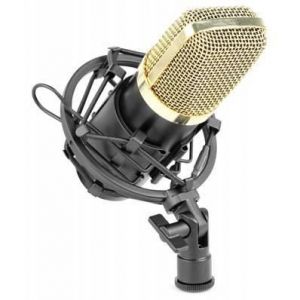 Skytronic Microphone de studio à condensateur noir