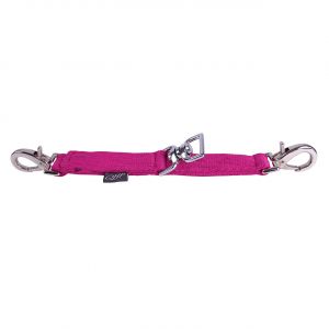 Alliance de longe pour cheval QHP