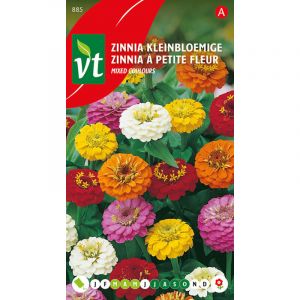 Zinnia Nain Lilliput - Ca. 1 gr (Livraison Gratuite)