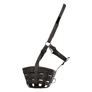 Waldhausen Muselière pour cheval pâturage