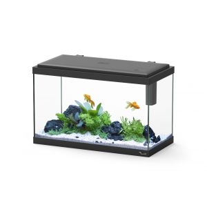 Aquatlantis Aquarium Poisson Aquarium Vienna équipé – 34 L