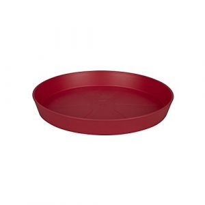 Image de Elho Soucoupe pour pot de fleur - Ronde - Ø14 cm - Fruits rouges - Pratique contre les tâches d'humidité sur la table ou les dalles de la terrasse