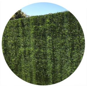 Image de Jet7Garden Haie artificielle vert thuyas 127 brins en rouleau Europa (Lot de 6) 1.8 x 3 m