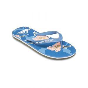 Quiksilver Molokai Art 25 - Tongs pour Homme Bleu - Taille 43