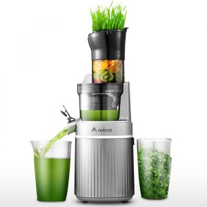 AMZCHEF Extracteur de Jus de Fruits et Légumes Sans BPA Slow Juicer Presse à Froid Machine/Vert