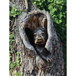 Sunsout Trou De Casier