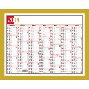 Exacompta 34101E - Calendrier de banque 7 mois année 2011 (43 x 55 cm)