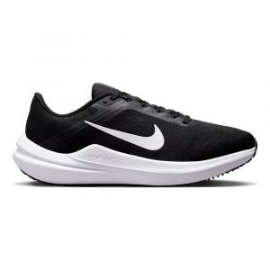 Nike Chaussures de running femme Winflo 10
