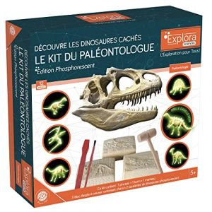 EXPLORA - Dinosaures Phosphorescents - Kit De Paléontologue - 039400 - Plâtre à Creuser - Kit de Découverte - Jeu pour Enfant - Scientifique - Éducatif - Aventure - Jouet - À Partir de 5 Ans