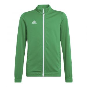 Adidas Veste Entrada 22 152 cm Team Green / White