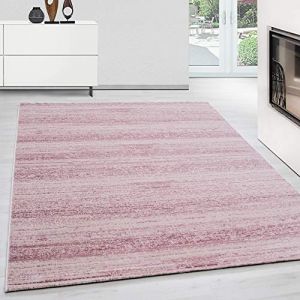 Teppium Tapis Salon Moderne Tapis Chambre Rose-1 200x300