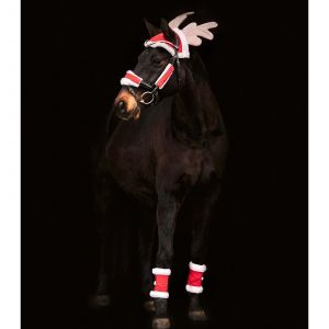 Waldhausen Décoration de noël pour cheval