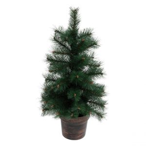 Sapin Windy Peak Vert
