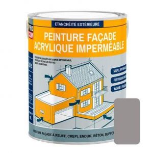 Peinture façade PROCOM crépi, façade à relief, imperméabilisation et protection des façades - Durable jusqu'à 10 ans 2.5 litres