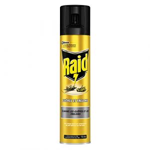 Image de Raid Insecticide Gu&ecirc;pes Et Frelons - L'a&eacute;rosol De 300 Ml
