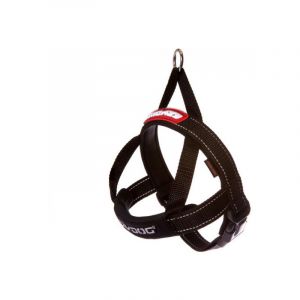 Ezydog Harnais Norv&eacute;gien Quick Fit pour chien T1 Noir