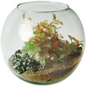 Zolux Aquarium Boule 4,5 litres