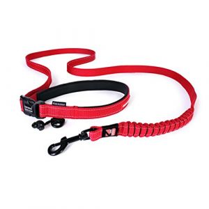 Ezydog Laisse Road Runner Rouge