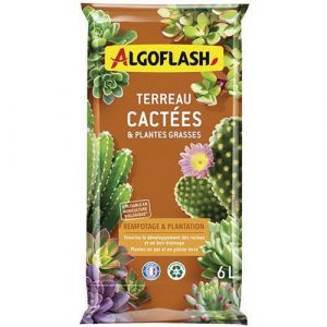 Algoflash Terreau cactées et plantes grasses 6L /nc