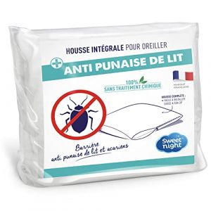 Sweet Night Sweetnight - Protège Oreiller 60x60 cm | Anti-Punaise de lit et Anti-acariens | Housse intégrale pour Oreiller avec Fermeture éclair | sans Traitement Chimique