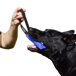Dingo Gear K9 IGP & Fun Jouet à mâcher en nylcot pour Dressage de Chien Bleu 15 x 5 cm