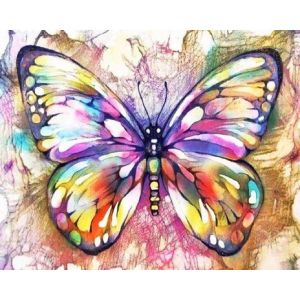 Peinture au num&eacute;ro : Papillon color&eacute; - sans ch&acirc;ssis en bois