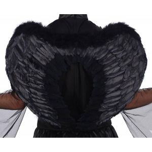 Ruedelafete Ailes d'ange en plumes 45x60cm, Noir
