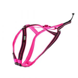 I-Dog Harnais pour chien Canicross X-Baxk